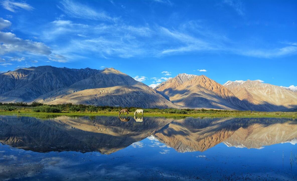 best Ladakh tour Packages
