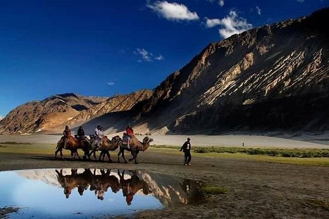 Top Ladakh Tour Trip for Every Budget and Travel Style